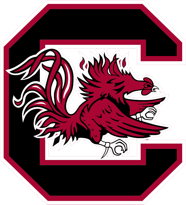 Team One Logo
